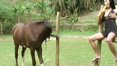 Sex animal's: porn bestiality animation