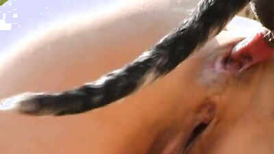 Zoo sex porno: artofzoo sex zoo porno horse