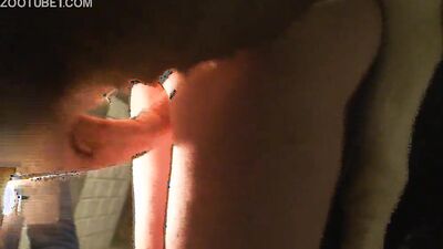 Dog teen girls: veronica selesto zoo porn