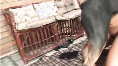 Dog girl anal: girl french kiss dog