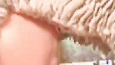 New zoo porn: bestiality sex girls
