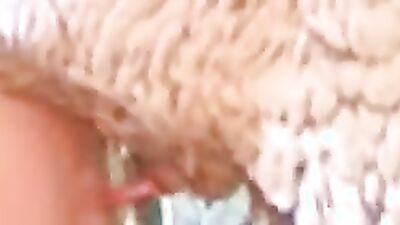 New zoo porn: bestiality sex girls