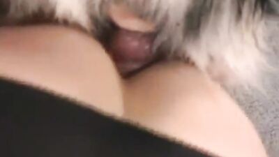 Dog porn video: zoo porno sex hd