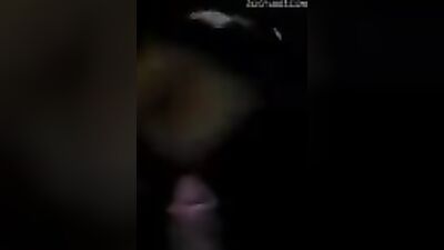 Dog sex video: zoo 2 porn