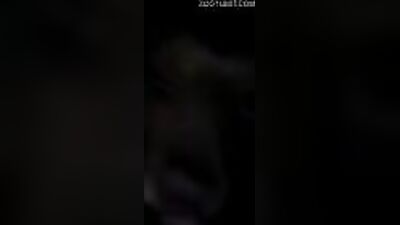 Dog sex video: zoo 2 porn
