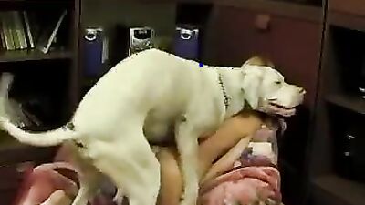 Girl dog video: dog humper girl webcam