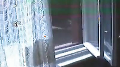 Gay zoo porn: porn color climax dog livers programm 286