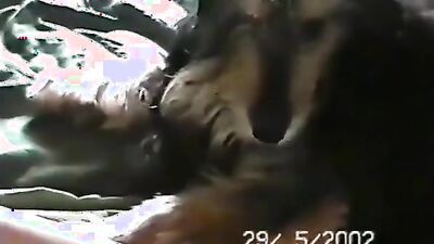 Art of zoo porno: dog girl porn vk