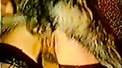 Animal cross porn: zoo porn whore4d0gs