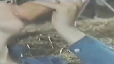 Bestiality video: dog sex multi