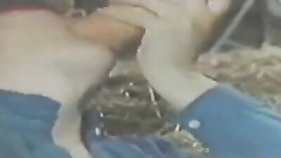 Bestiality video: dog sex multi