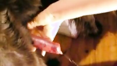 Girls s dogs: dogwoman zoo porn