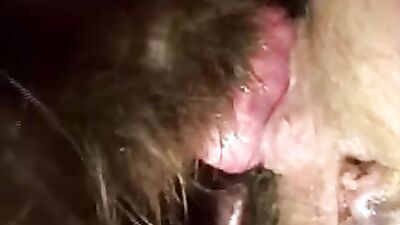Girls s dogs: dogwoman zoo porn