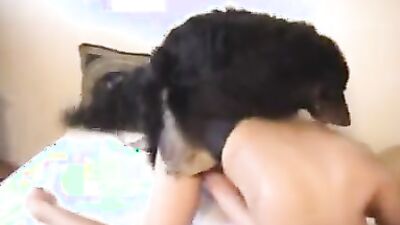 Zoo porn girls: zoo porn riding