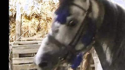 Bestiality sex id: bokep animals sex