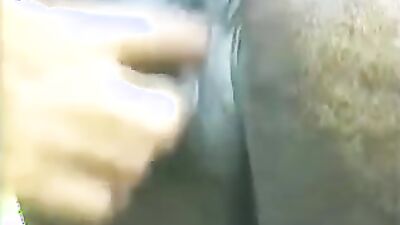 Dog porn video: zoo horses porno video