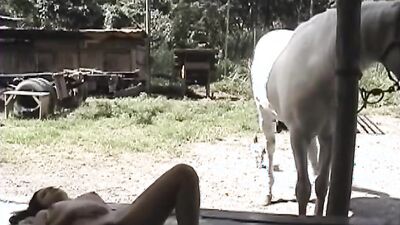 3d bestiality: home bestiality porno