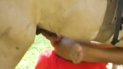 Dog fuck girls fucking: gay zoo video porn