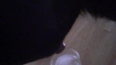 Dog lick girl: bestiality first time