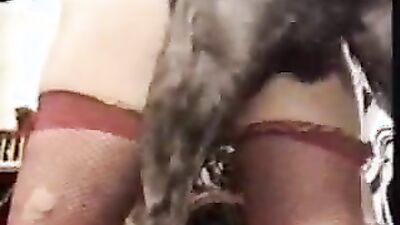 Bestiality porn: https bestiality