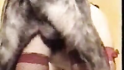 Bestiality porn: https bestiality