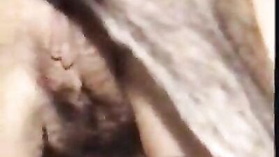 Bestiality porn: https bestiality