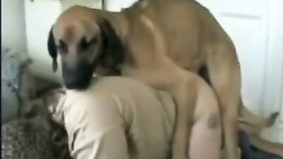 Mimi dog girl: bestiality section com