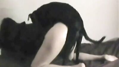 Animal sex porn: bestiality dog cock