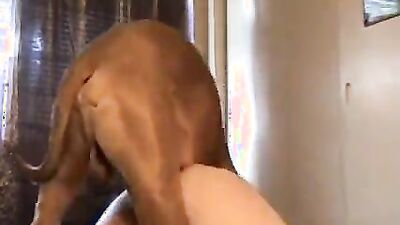Art of zoo porno: artofzoo animal sex
