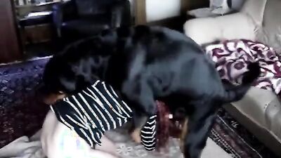 Animal sex: animal dog full sex doll