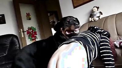 Animal sex: animal dog full sex doll