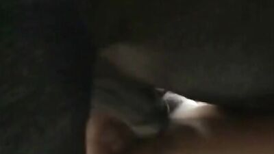 Zoo porn: vero silesta zoo sex con