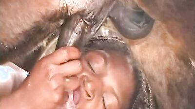 Bestiality video: 18 animals porno