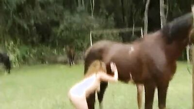 Animal crossing porn: team russia bestiality