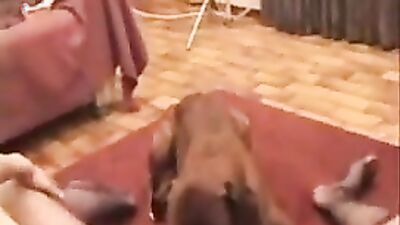 Dog girl anal: cartoon dog and girl