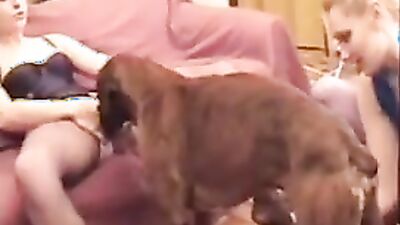 Zoo fucking porn: dog porn erika vanessaprod