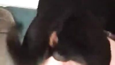 Girl playing dog: zoo sex telegram
