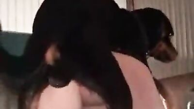 Girl playing dog: zoo sex telegram