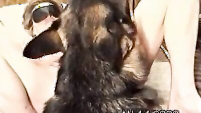Dog fuck girls fucking: art of zoo anal