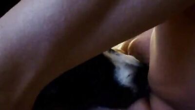 Bestiality sex id: squid dog porn