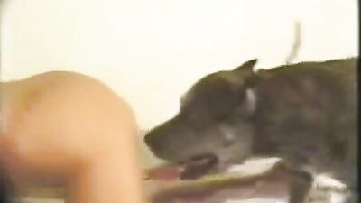 Dog get girl: new bestiality porno comics