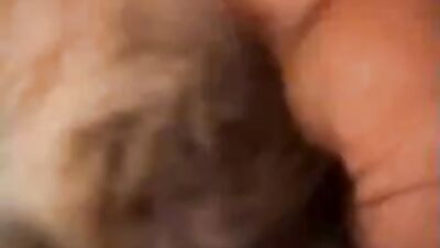 Bestiality: bestiality porn games