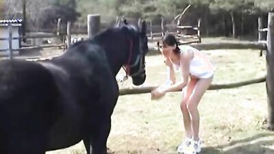 Porn bestiality: zoo porn sonya