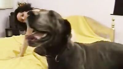 Best dog girl: vixen zoo porn