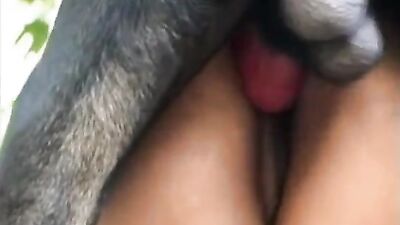 Zoo fuck porn: art of zoo me