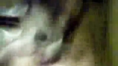 Bestiality games: bokep animals sex