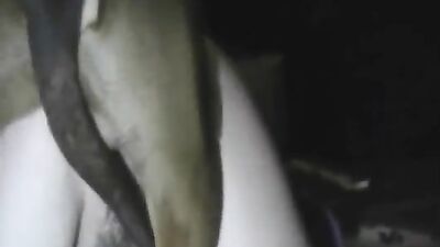 Girls s dogs: breastfeeding bestiality porn