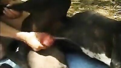 Girls s dogs: animal sex games