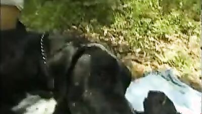 Girls s dogs: animal sex games