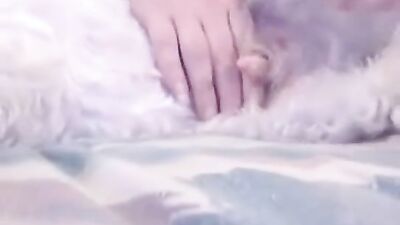 Bestiality porn: zoo porn full videos